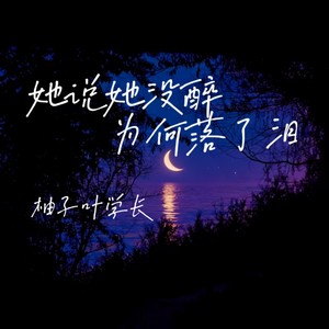 她说她没醉为何落了泪 (DJ男版)