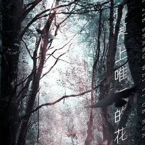 世界上唯一的花