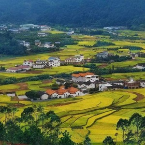 为了美好而向往