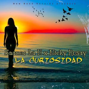 La Curiosidad (feat. Nicky Rosay)