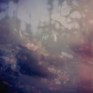 Dream Out