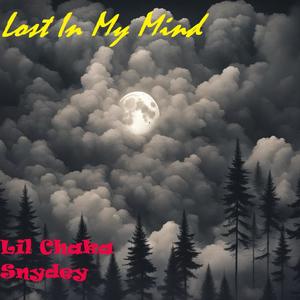 Lost In My Mind (feat. Snydey, Noshoes, Makozally & OKman) (Explicit)