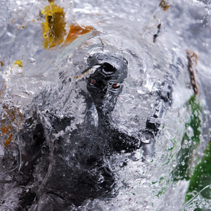 Talk about it (Explicit)