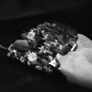 The Most Foreign Country