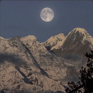 Never see Me Again(vibe)