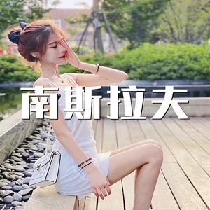 我就喜欢这一款 (DJ版)