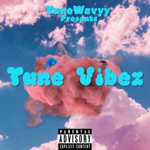 Tune Vibez (Explicit)