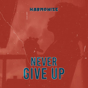 Never Give Up