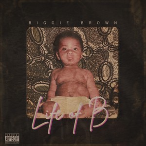 High School Plans (Explicit)