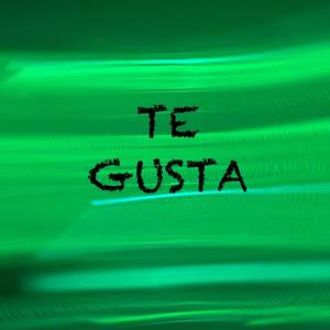Te Gusta (Explicit)