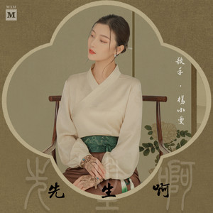 先生啊 (DJ沈念版)