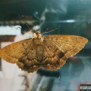 Ganjhupa (feat. 1985, Soul Logan & Alejo Pabon Official) (Explicit)