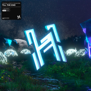 Till The End (Extended)