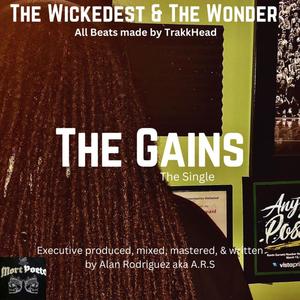 The Gains (Explicit)