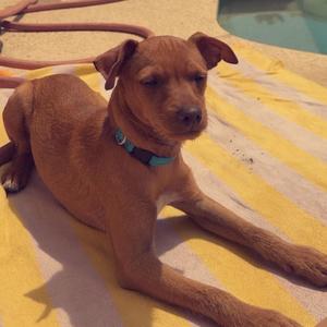 HELLA BANDS (Explicit)