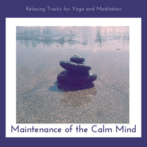 Maintenance Of The Calm Mind - Relaxing Tracks For Yoga And Meditation