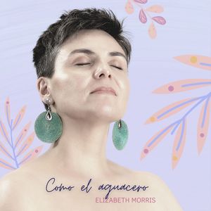 Como el Aguacero