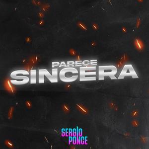 Parece Sincera (Techengue)