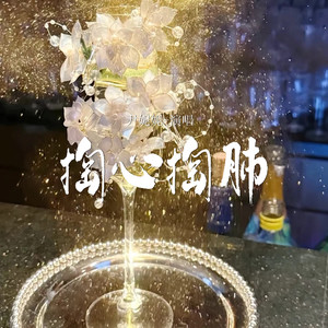 尹妮妮 - 掏心掏肺 (伴奏)