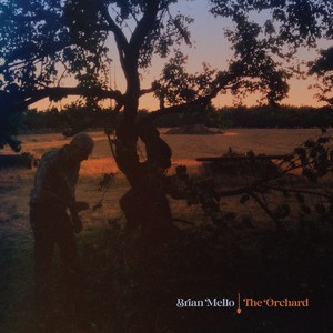 The Orchard - EP