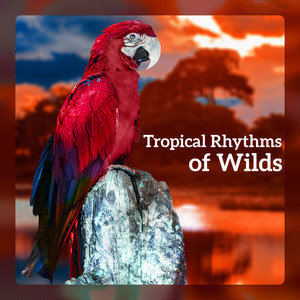 Tropical Rhythms of Wilds