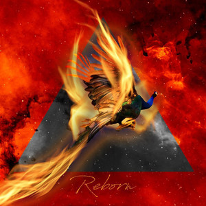 Reborn (Explicit)