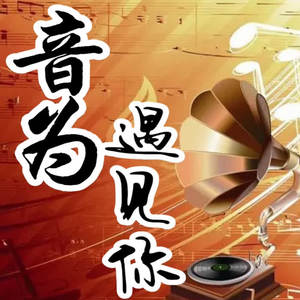 抖音热歌完整版-《被这个世界骗到想结婚》原唱搁浅的鱼-人生怎么选都有遗憾-晓云声声