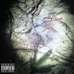 lost in fear (Explicit)