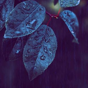 诗意的学习节奏