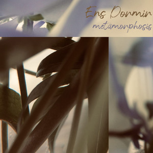 The Horizon Is Clear (Remastered 2024)