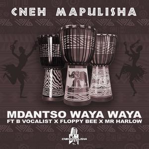 Mdantso Waya Waya (feat. B Vocalist, Floppy Bee & Mr Harlow)