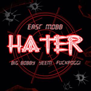 HATER (feat. Big Bobby & Yeem) [Explicit]