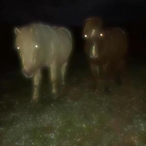 Loneliness (feat. Core Wound)