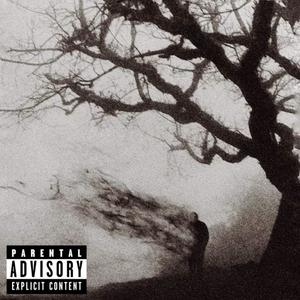 **** HOW THEY FEEL (feat. Wise 1) (Explicit)