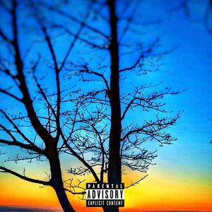 Moonlight (feat. Young Orange) (Explicit)