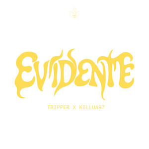EVIDENTE