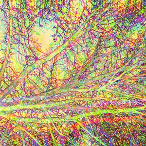 Mission (Bonus|Explicit)