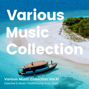 Various Music Collection Vol.41 -Selected & Music-Published by Audiostock-