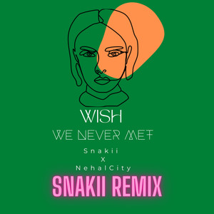 Wish We Never Met