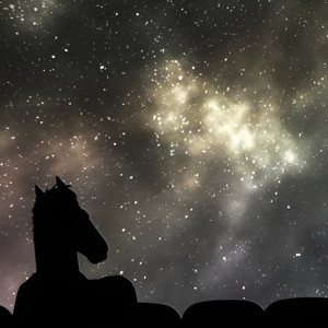 bojack, why did you call me?