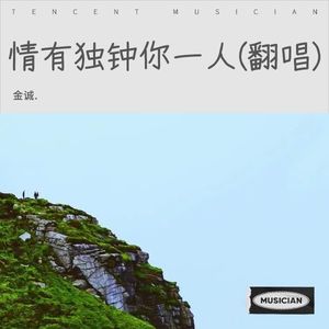 情有独钟你一人