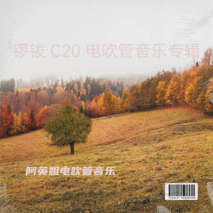 阿英姐电吹管音乐 - 我是飘零的尘埃 (翻奏: 陈嘉宇)