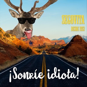 ¡Sonríe Idiota! (Explicit)