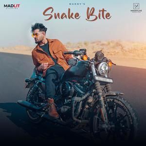 Snake Bite
