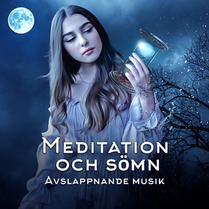 Meditation och sömn: Avslappnande musik, Skapa din komfortzon, Sömnlöshetsterapi, Lugn och harmoni