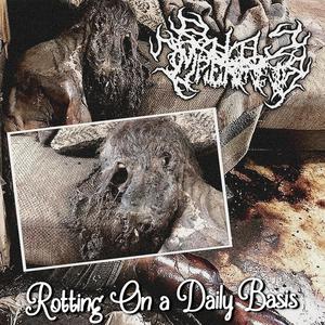 Rotting On A Daily Basis (Explicit)