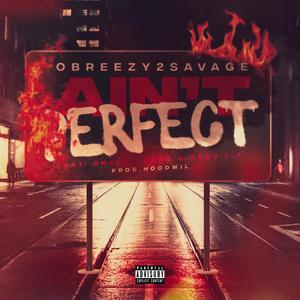 Ain't Perfect (feat. Shady Guero & Trev L.A.) (Explicit)
