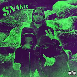 SNAKES (feat. Journey Gz) (Explicit)