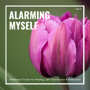 Alarming Myself - Meditation Tracks For Healing, Self-Satisfaction & Relaxation, Vol.2