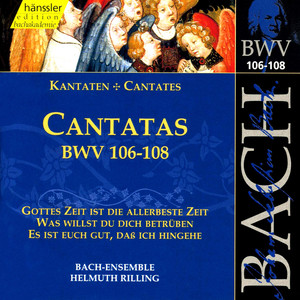 Was willst du dich betrüben, BWV 107 - Aria: Auf ihn magst du es wagen (Bass)